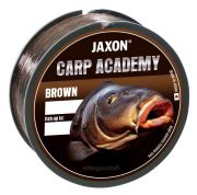  Jaxon Carp Academy Brown Line  Damil 0,25mm  13kg    300m